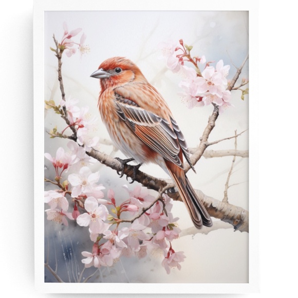 Creative Path Studios Other - House Finch Bird Wall Art Print Poster Unframed - Bird Artwork Illustration